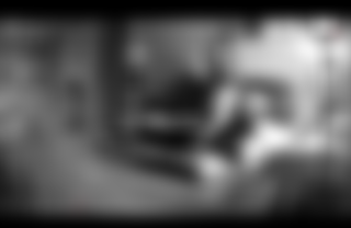 Matt & Siren Play While They Are Away!!